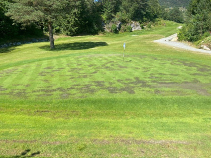 Stenging av green 8